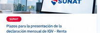 Declaración mensual IGV Renta